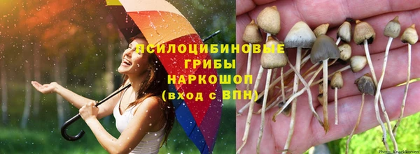 бутират Беломорск