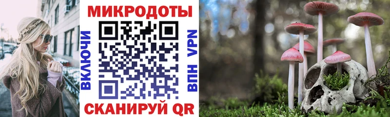 Псилоцибиновые грибы Magic Shrooms  Южа 